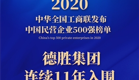 連續(xù)11年，樂山唯一！集團上榜2020中國民營企業(yè)500強