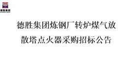 德勝集團煉鋼廠轉爐煤氣放散塔點火器招標項目